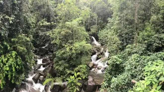 සිංහරාජ වනාන්තරය