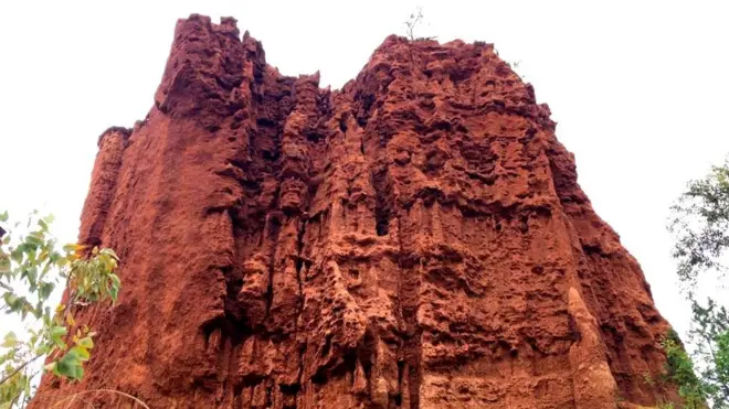 የኮንሶ ኒው ዮርክ