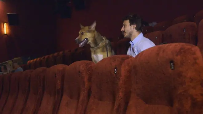 cão e donocassino com deposito de 5 reaiscinema