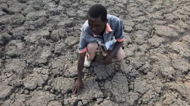 Les zimbabwéens attendent la pluie