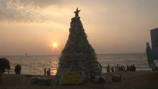 මේ නත්තල් ගහ සාගරය ගැන කියා දෙන පාඩම ඔබ දන්නවාද ?