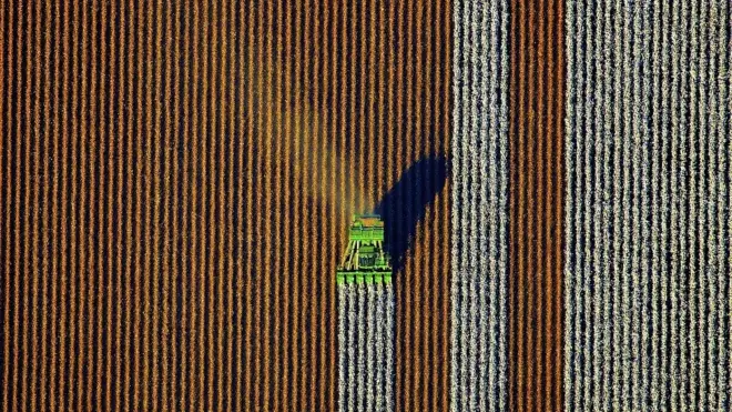 آسٹریلوی کھیت