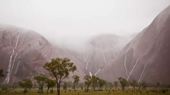 Територію парку населяють аборигени анангу