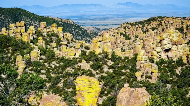 (圖片來源:Zack Frank)