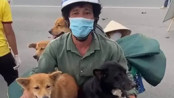 Vụ chính quyền Cà Mau tiêu hủy đàn chó 15 con mà chủ mang về quê tránh dịch làm chấn động dư luận Việt Nam