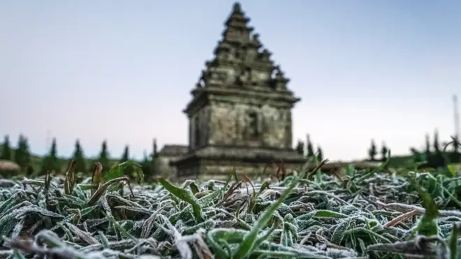 Cuaca dingin di Dieng menyebabkan fenomena "embun es".