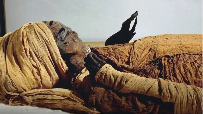 มัมมี่ของฟาโรห์ เซเคเนนเร ทาว ที่สอง (Seqenenre Taa II)