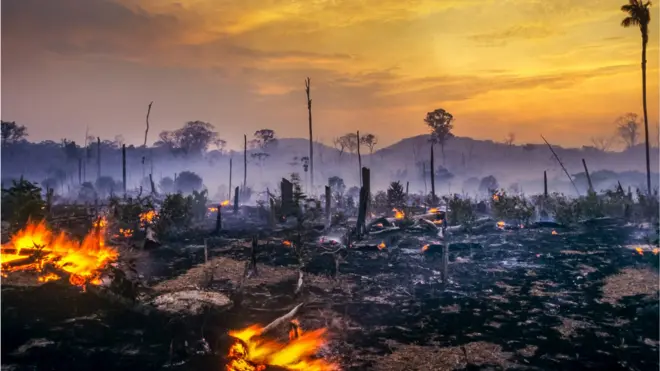 Desmatamento na Amazonia