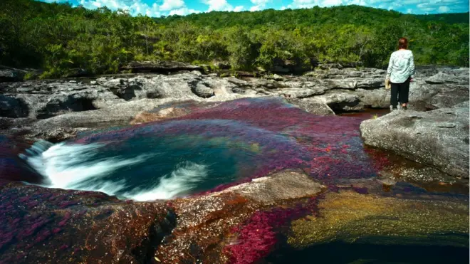 National Geographic describe a Caño Cristales como un río arco iris que fluye por el centro de Colombia.