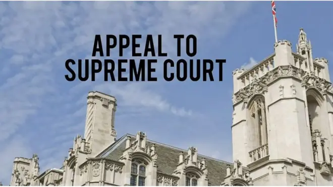 ブレグジット上訴審、最高裁で　論点は