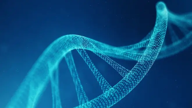 A stylised drawing of the DNA double Helix with 1s and 0s appearing in the bonds between the molecules to illustrate its synthetic nature