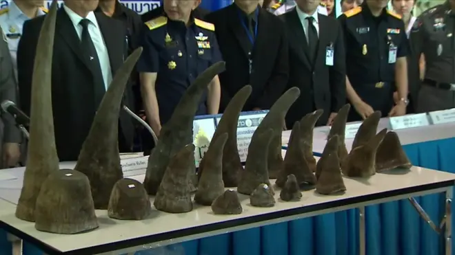 Конфісковане в браконьєрів