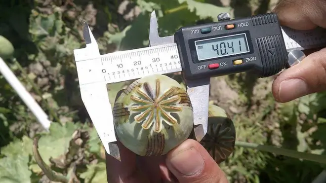 سروی میدانی از سوی دفتر مبارزه با مواد مخدر سازمان ملل