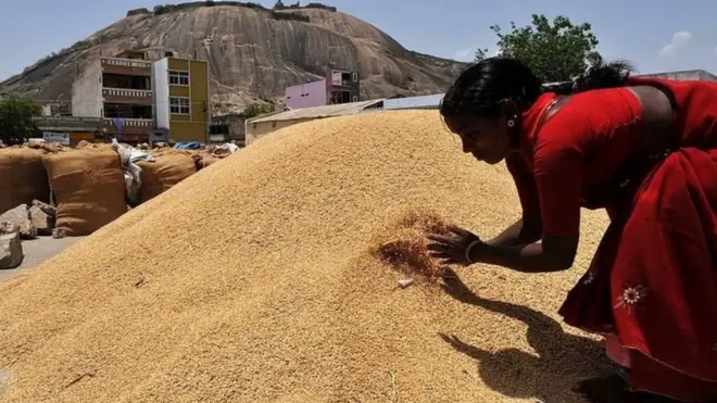 కనీస మద్దతు ధరను చట్టబద్ధం చేయడం ప్రమాదకరమని నిపుణులు అంటున్నారు