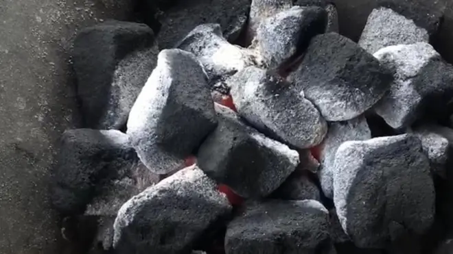 Du charbon bio à base de cabosse de cacao et de jacinthe d’eau