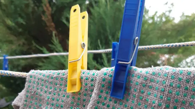 Желто-синие прищепки в саду «иноагента»