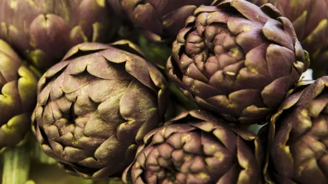 artichoke