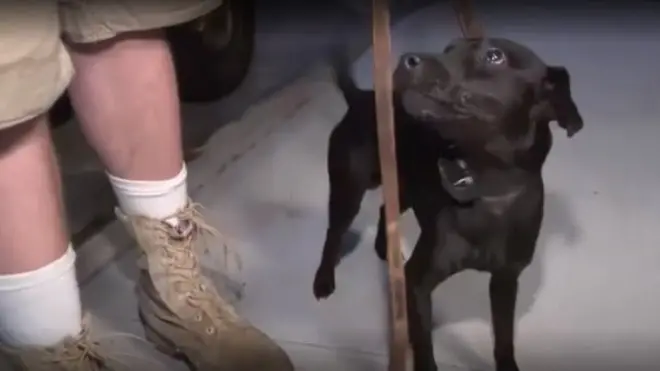 최근 뉴욕시는 쥐 소탕 작전에 3천2백만 달러를 투입했다