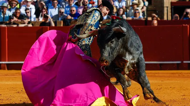 من مباراة في حلبة مصارعة الثيران في إشبيلية، إسبانيا، 21 أبريل/نيسان 2024
