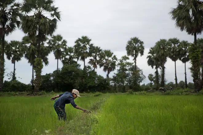 ထားဝယ်ရေနက်ဆိပ်ကမ်းစီမံကိန်းနေရာ(ပုံဟောင်း) 