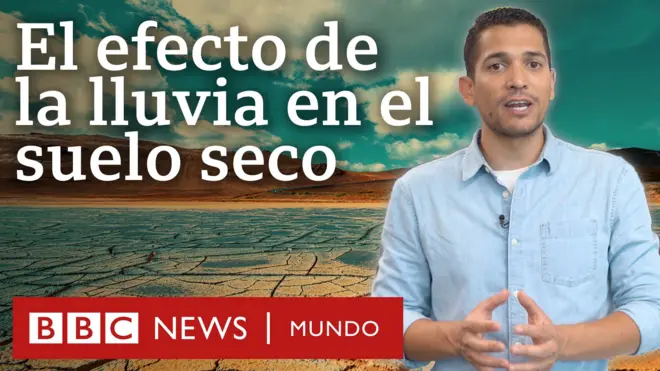 Por qué las lluvias después de las sequías pueden ser tan peligrosas