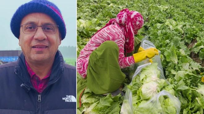 ਕਿਸਾਨ ਤੇ ਖੇਤ ਵਿੱਚ ਮਜ਼ਦੂਰ