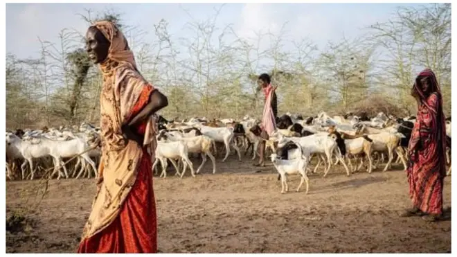 خشکسالی در آفریقا