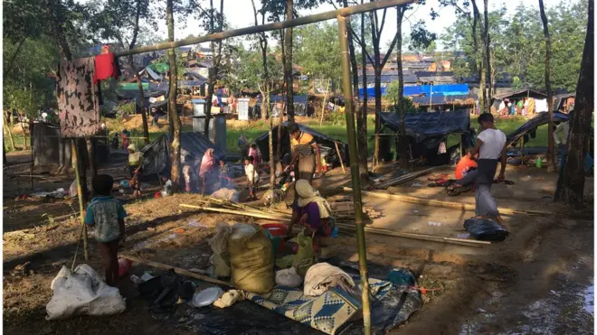 बांग्लादेश पर्यावरण