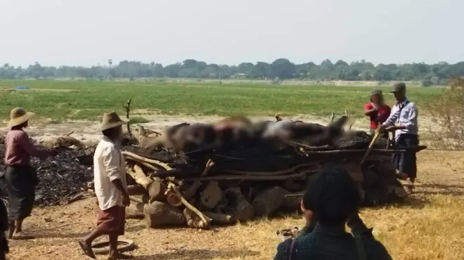 လူအစုလိုက်သတ်မှု