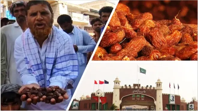 పాకిస్తాన్ ఖర్జూరం రైతులు