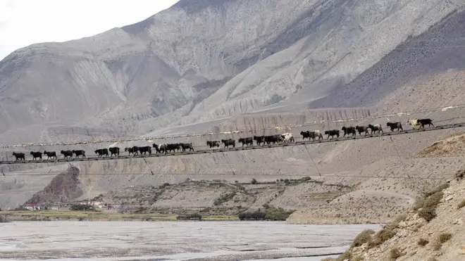 चीन नेपाल