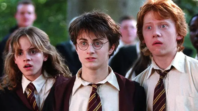 John Williams composed the main theme for the Harry Potter films, and scored the first three instalments