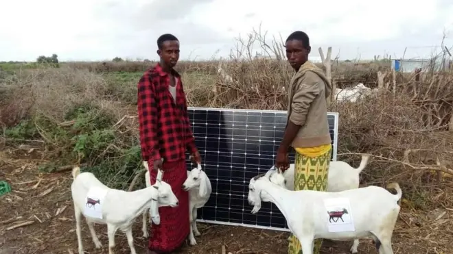 Dadka qaar ayaa xoolahooda ku baddalanaya adeegga korontada