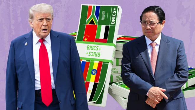 BRICS, Vietnam