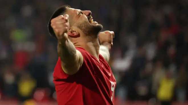 Aleksandar Mitrović