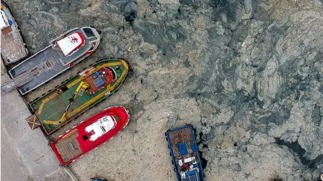 Мармурове море