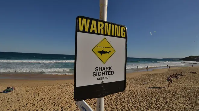 A shark warning sign on a beach in New South Wales, Australia. File photo