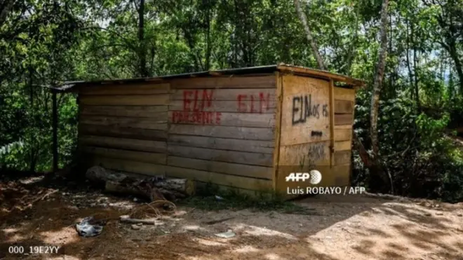 El fotógrafo de AFP Luis Robayo es el autor de la imagen, según dijo la agencia de noticias y el propio reportero.