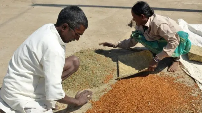 खेती किसानी