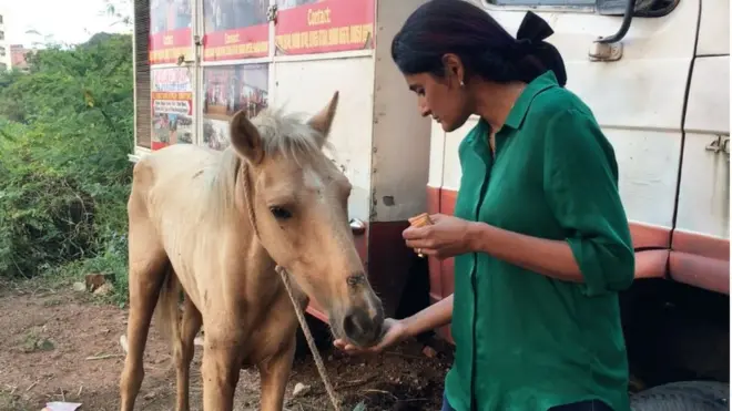 గుర్రాలు, హైదరాబాద్