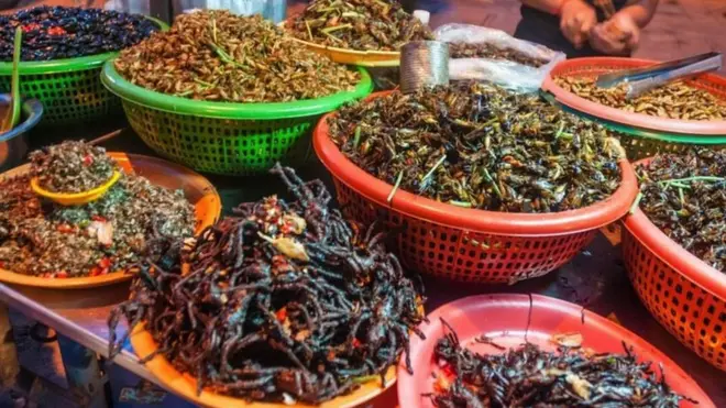 حشرات، خځنده