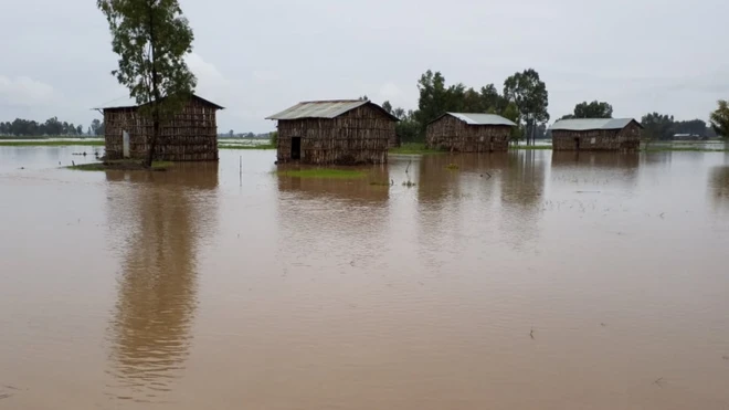 Aanaa Libo Kamkamii fi Foogeritti hidhi Rib fi lageen guutuun manneetii fi oomisha balleessan.