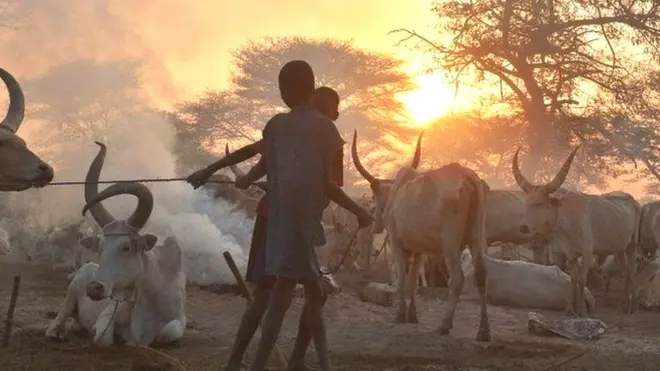 Previous clashes in South Sudan have been over issues like cattle