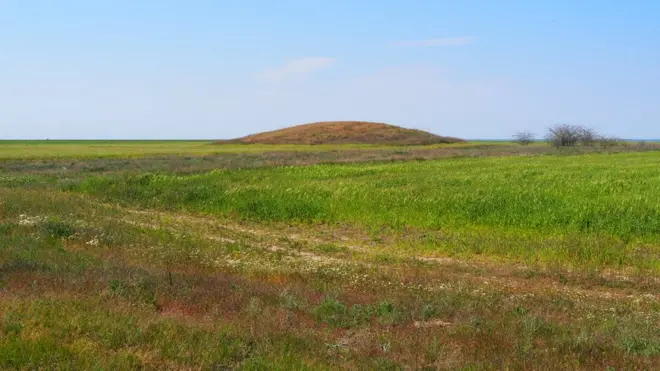 Ритуальні поховання знаходяться на цілині