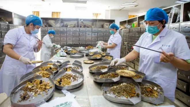 qoricha aadaa Chaayinaa