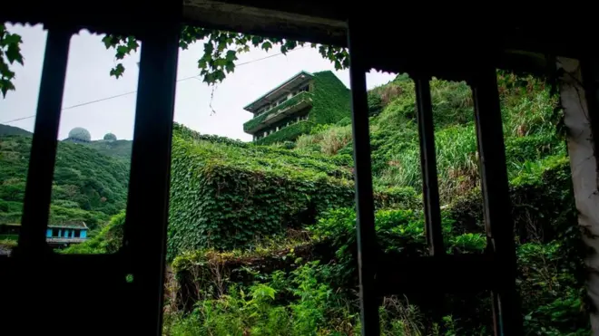 Abandoned village houses covered with overgrown vegetation in Houtouwan on Shengshan island