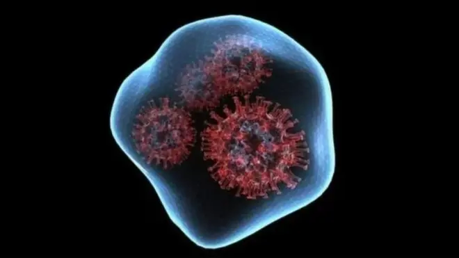 ఒమిక్రాన్ వేరియంట్