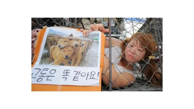 市場上大庭廣眾之下殺狗，而且常常手段殘酷，當地居民和動物保護組織一直以來反對抗議。