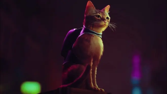 Для багатьох сюрпризом стала гра Stray про кішку та кібер-місто майбутнього