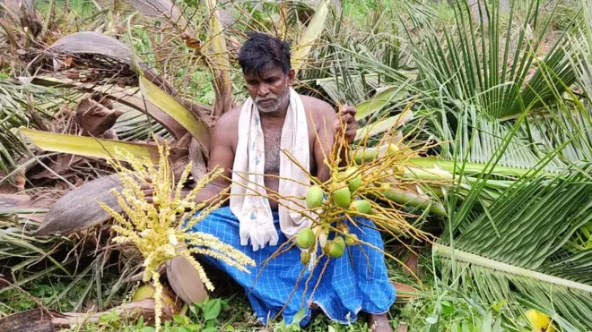 தென்னை விவசாயி